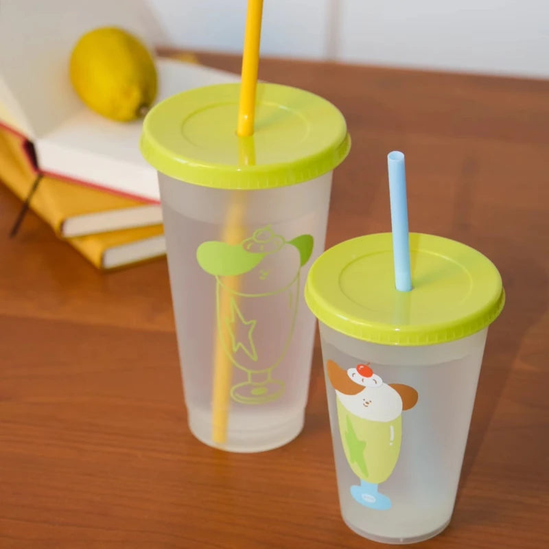 YOUMIKA  -  Summer Plastic 700ml Cup Straw Cup Coffee Milk Tea Water Cup Portable and Recyclable Water Bottle