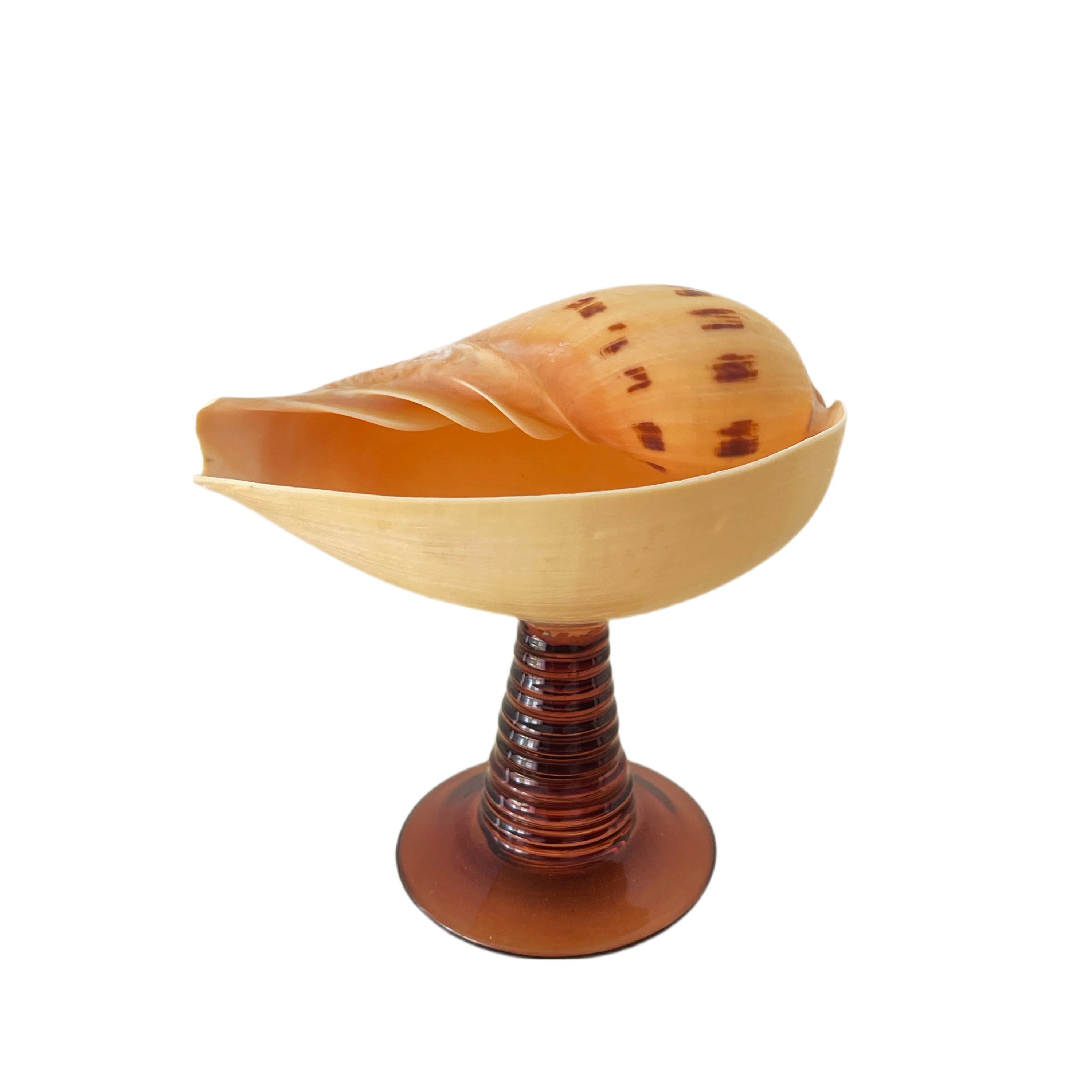 YOUMIKA  -  Natural Conch Shell Cup High Footed Cup Wine Cup Design Home Decoration Wedding Companion Gift