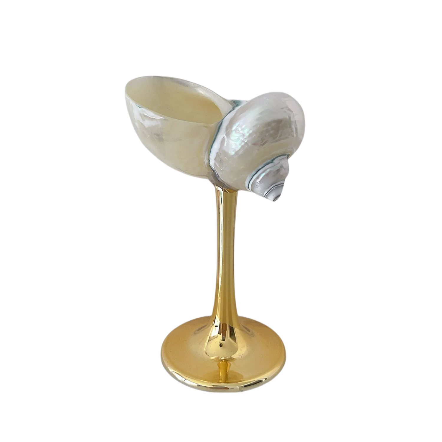 YOUMIKA  -  Natural Conch Shell Cup High Footed Cup Wine Cup Design Home Decoration Wedding Companion Gift