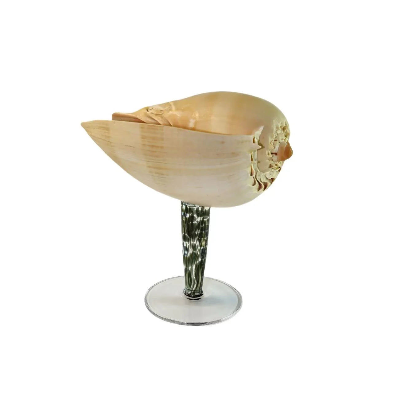 YOUMIKA  -  Natural Conch Shell Cup High Footed Cup Wine Cup Design Home Decoration Wedding Companion Gift