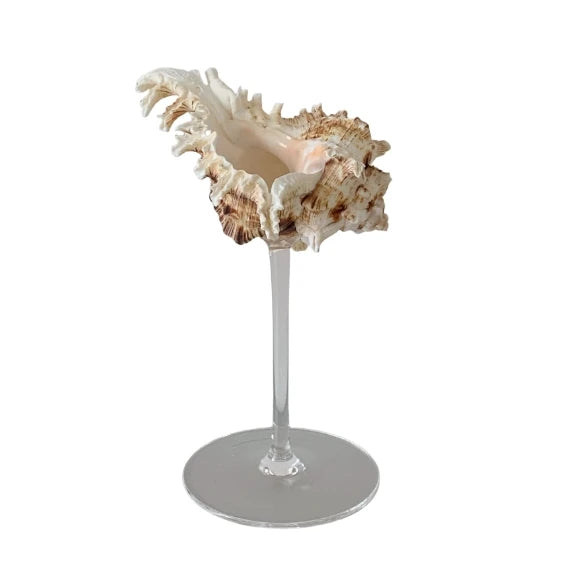 YOUMIKA  -  Natural Conch Shell Cup High Footed Cup Wine Cup Design Home Decoration Wedding Companion Gift