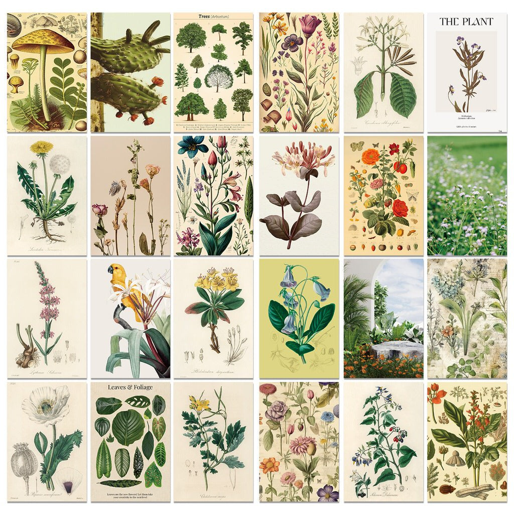 YOUMIKA  -  Vintage Herbal Wall Collage Cards Kit